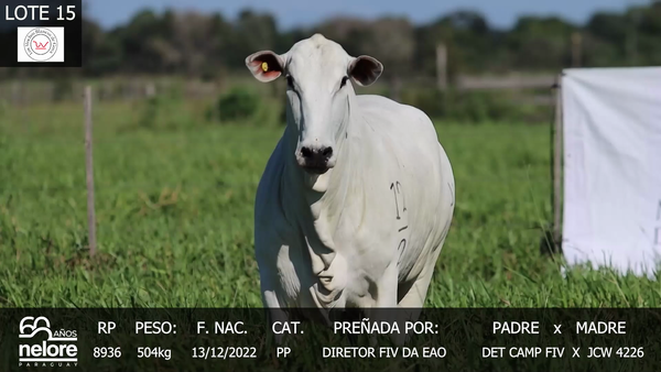Lote LOTE 15