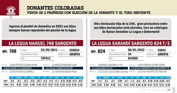 Lote DONANTES