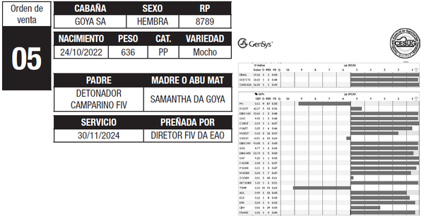 Lote LOTE 5