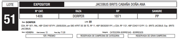 Lote LOTE 51