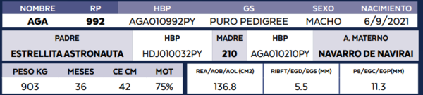 Lote LOTE 80