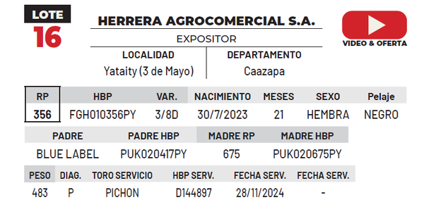 Lote LOTE 16