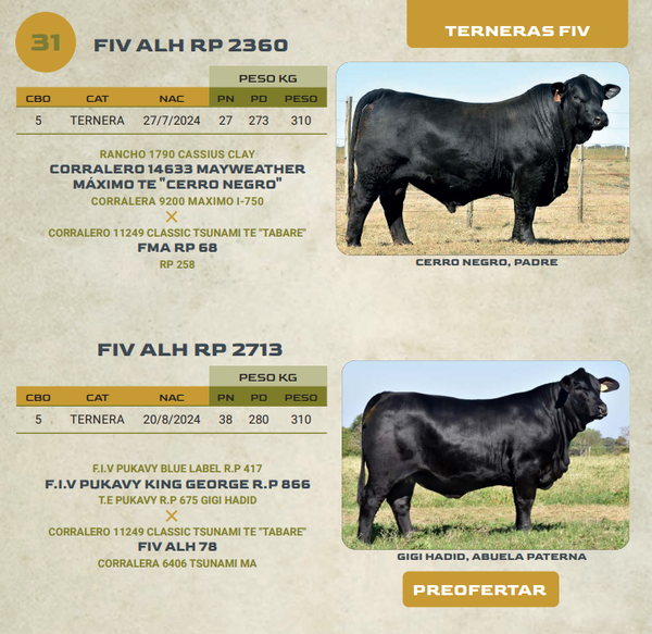 Lote LOTE 31