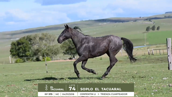 Lote SOPLO EL TACUARAL