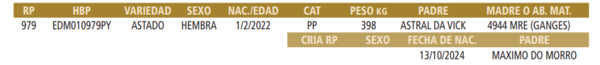 Lote LOTE 36