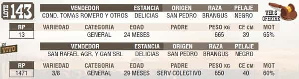Lote LOTE 143 - EN VIVO
