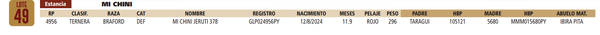 Lote LOTE 49