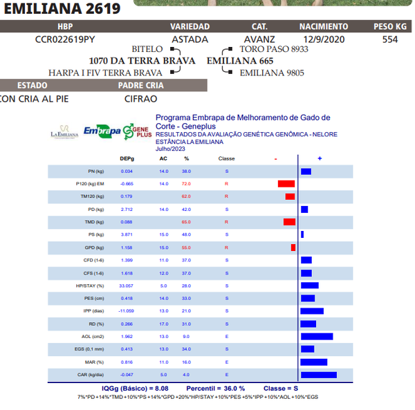 Lote LOTE 64