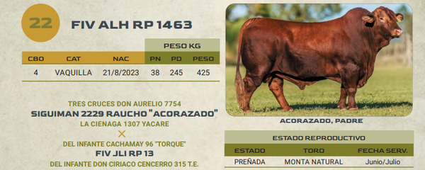 Lote LOTE 22