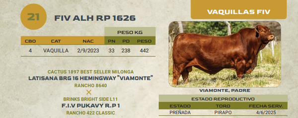 Lote LOTE 21