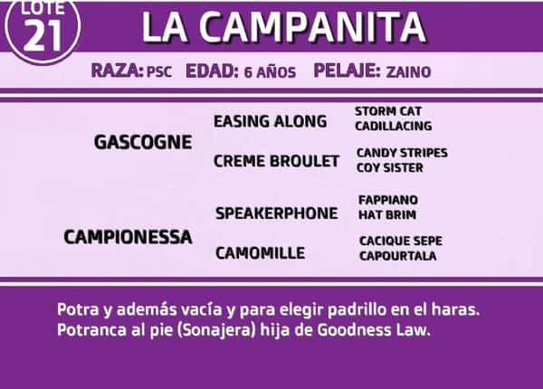 Lote LA CAMPANITA