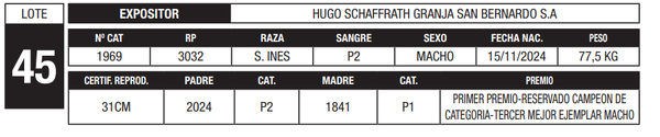 Lote LOTE 45
