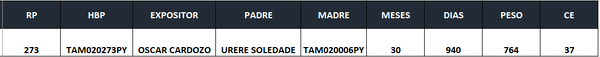 Lote LOTE 6