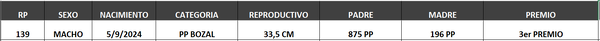 Lote LOTE 58- BOZAL