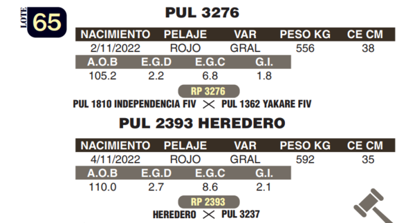 Lote LOTE 65