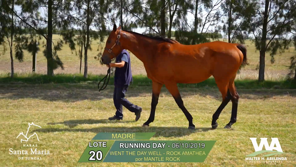 Lote RUNNING DAY