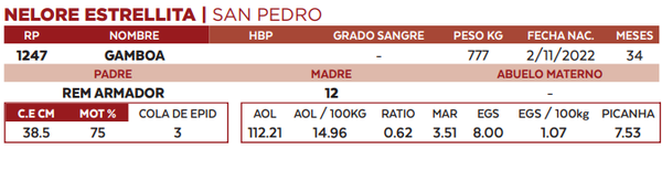 Lote LOTE 16