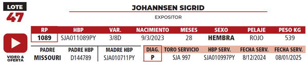 Lote LOTE 47