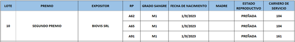 Lote LOTE 10