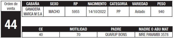 Lote LOTE 44