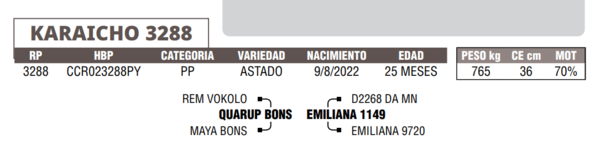 Lote LOTE 35