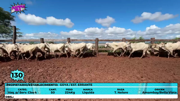 Lote LOTE 130