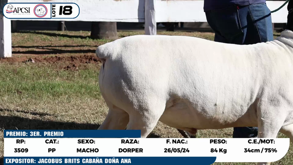 Lote LOTE 18