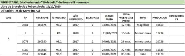 Lote Lote 5