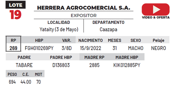 Lote LOTE 19