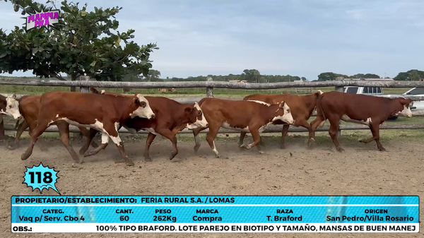 Lote LOTE 118