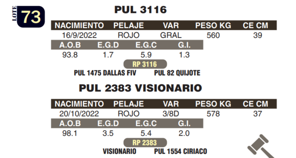 Lote LOTE 73