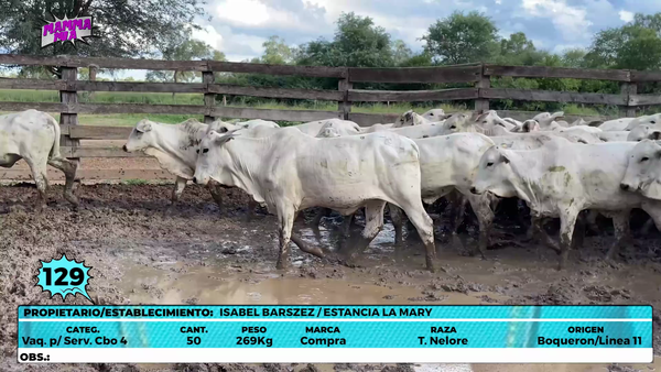 Lote LOTE 129