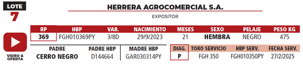 Lote LOTE 7