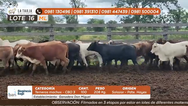 Lote ESTANCIA DON MIGUEL