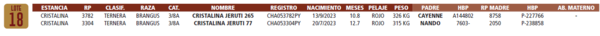 Lote LOTE 18