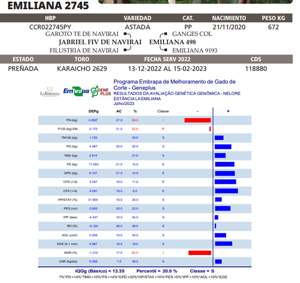 Lote LOTE 60