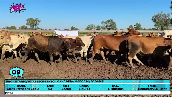 Lote LOTE 9