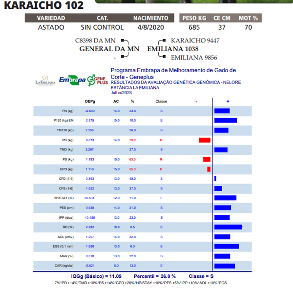 Lote LOTE 37