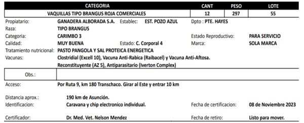 Lote LOTE 55