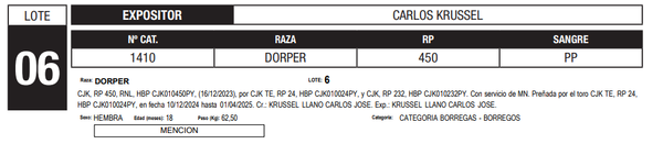 Lote LOTE 6