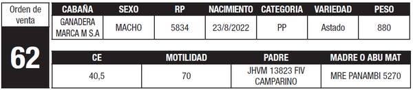 Lote LOTE 62