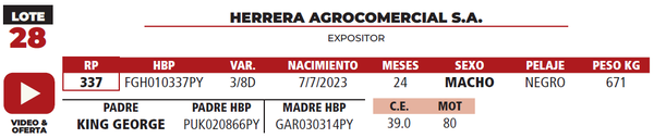Lote LOTE 28