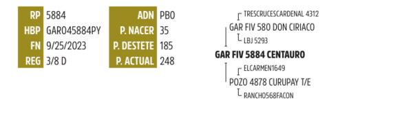 Lote LOTE 30