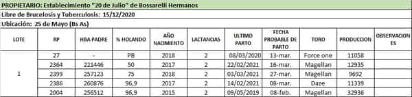 Lote Lote 1