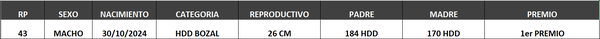 Lote LOTE 20- BOZAL