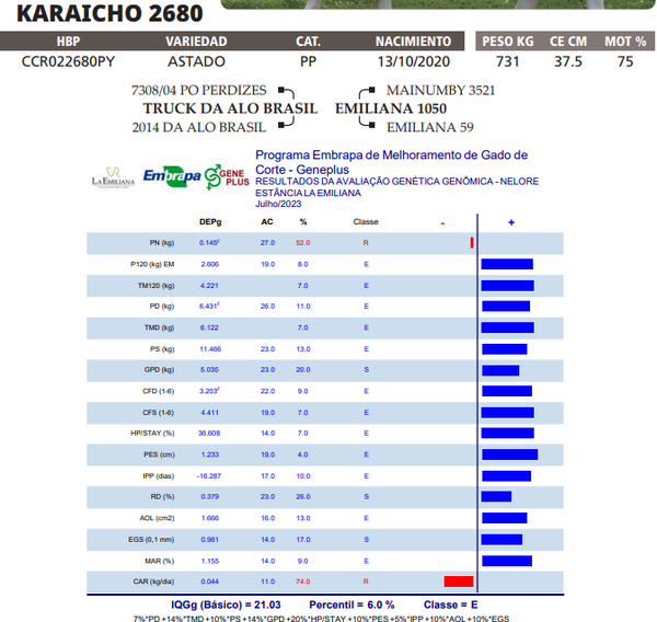 Lote LOTE 24