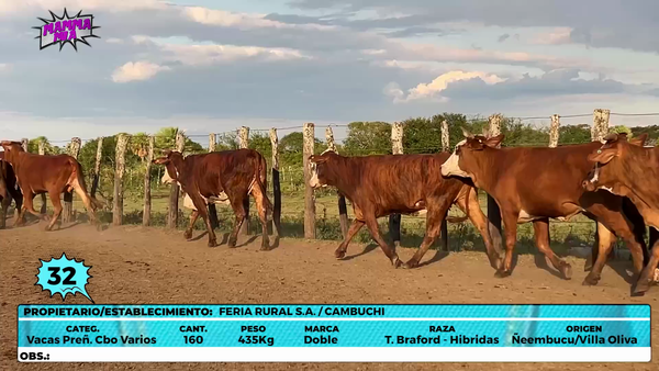Lote LOTE 32