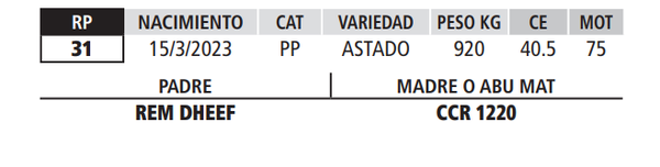 Lote LOTE 44