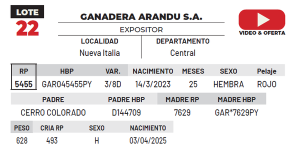 Lote LOTE 22