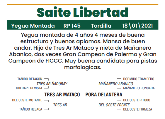 Lote LOTE 34